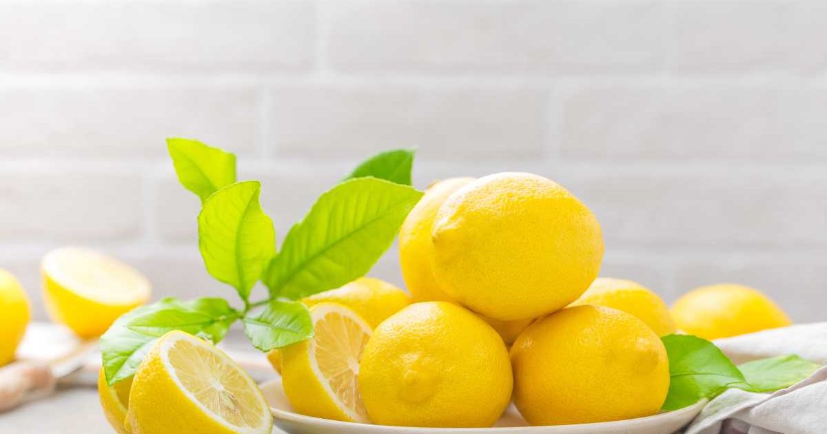 Fact Check Does lemon and salt help heal tongue ulcers? THIP Media
