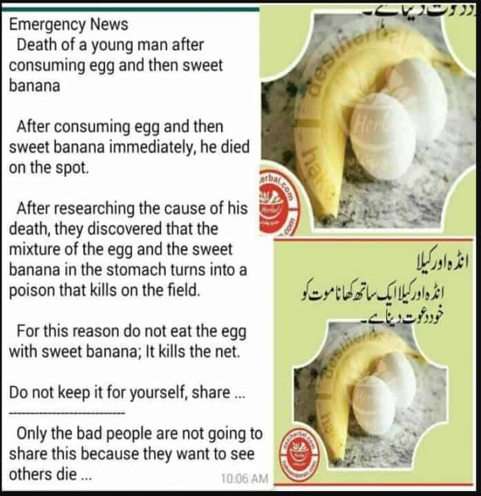 Fact Check Egg and Banana together is harmful THIP Media