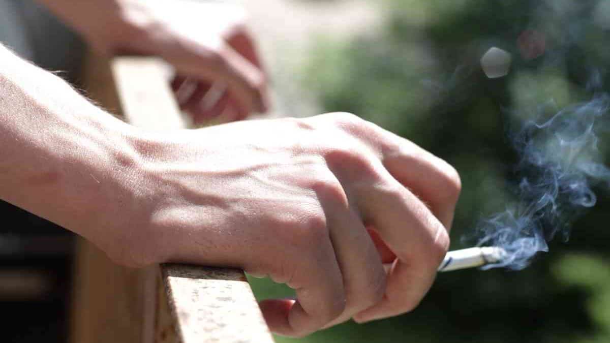 kinds of tobacco cigarette Commonly Used Tobacco Types in Cigarettes