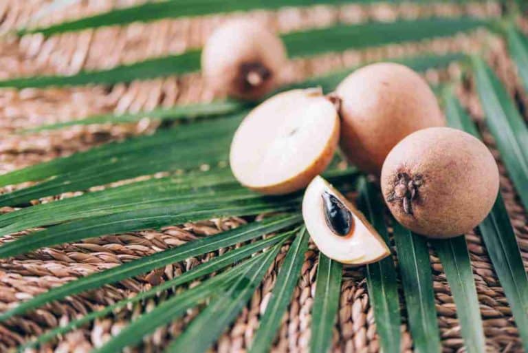 તથ્ય જાંચ: શું ચીકુ ખાવાથી દૃષ્ટિ સુધરી શકે છે?