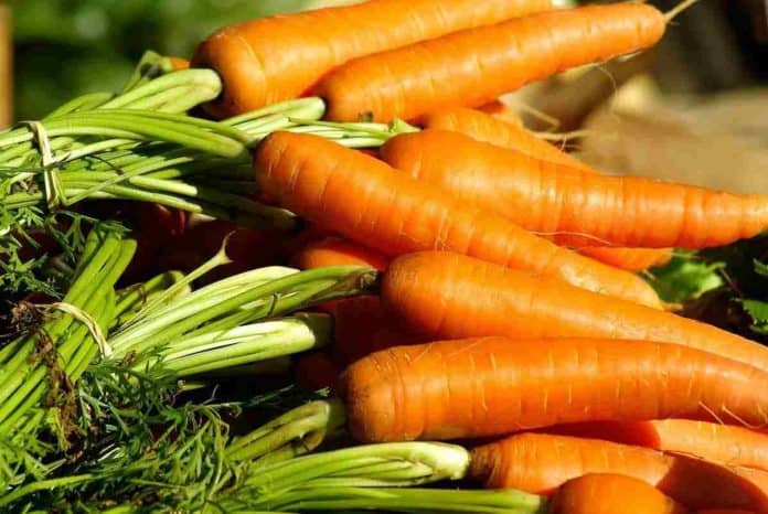 leafy greens can protect smokers from lung cancer