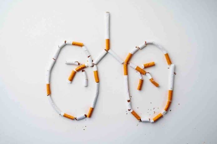 smoking and lungs