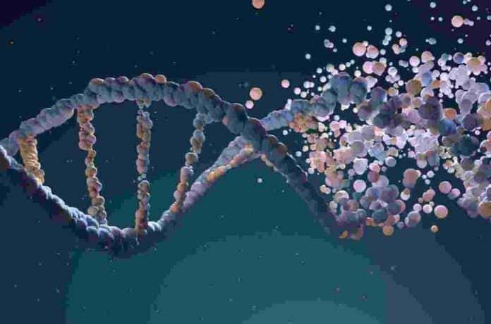 DNA and genome editing