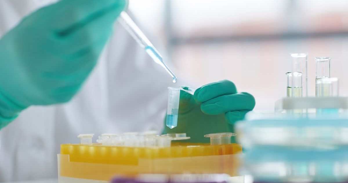 What Tests Are Done To See If A Person Has Non Alcoholic Fatty Liver