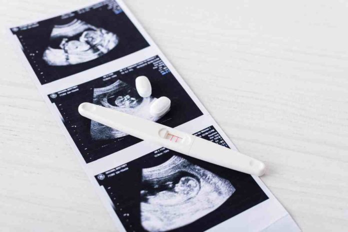 pregnancy