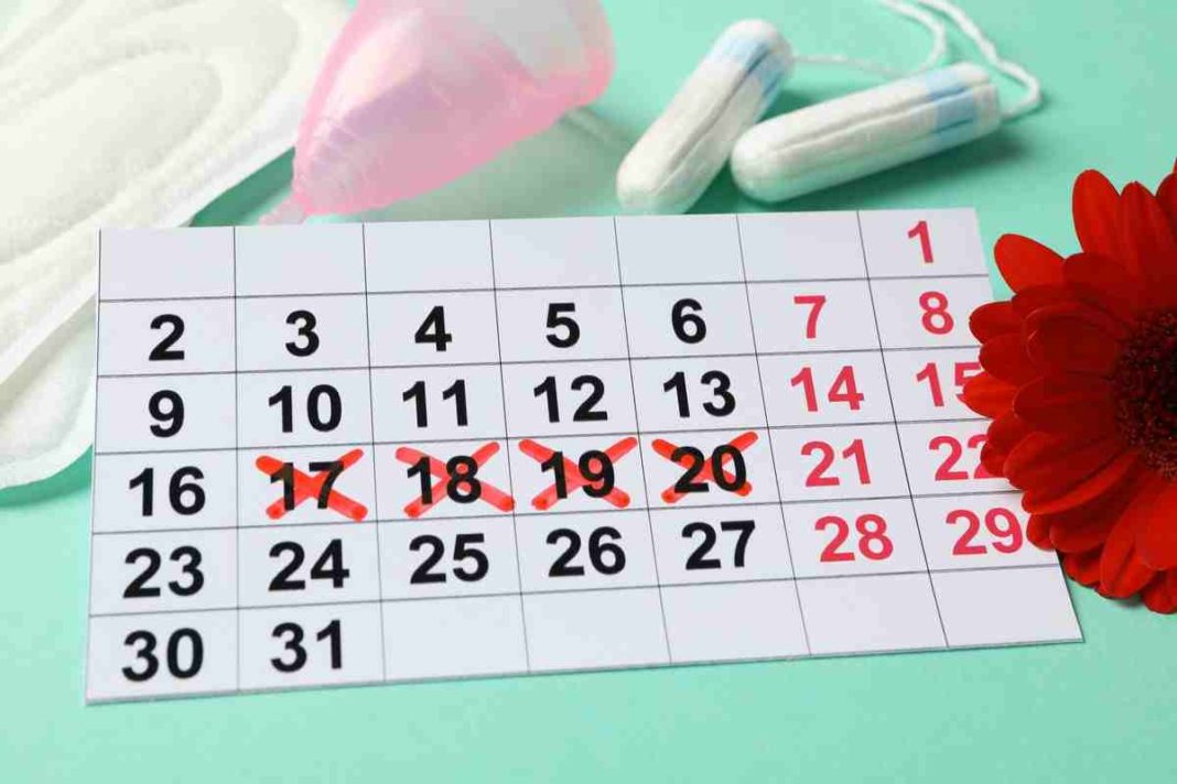menstruation