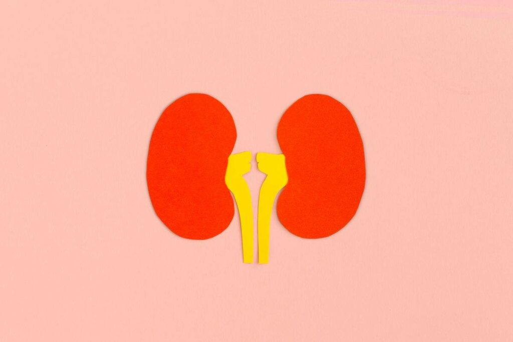 Can olive oil and lemon juice treat kidney stones? THIP Media