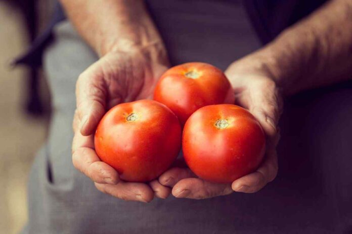 tomatoes can naturally shrink pores
