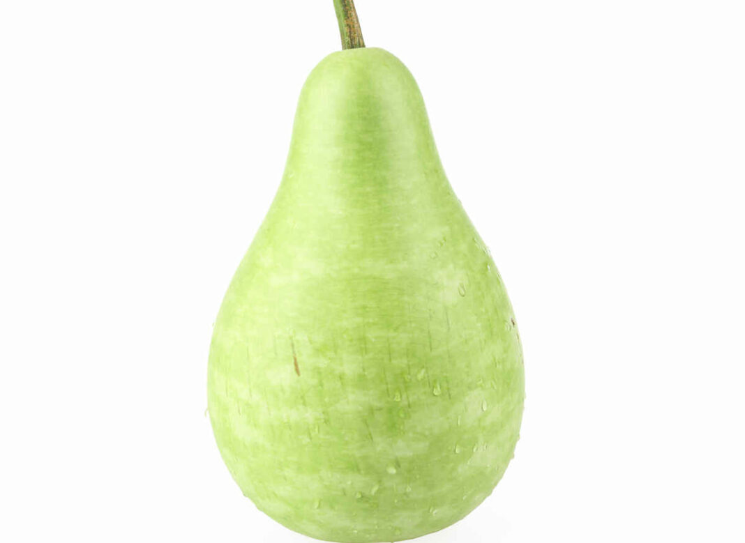 bottle gourd for arterial blockages