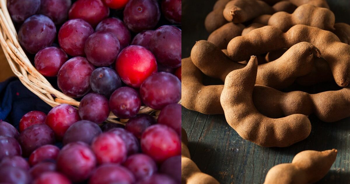 Fact Check Can fatty liver and liver fibrosis be cured by tamarind and