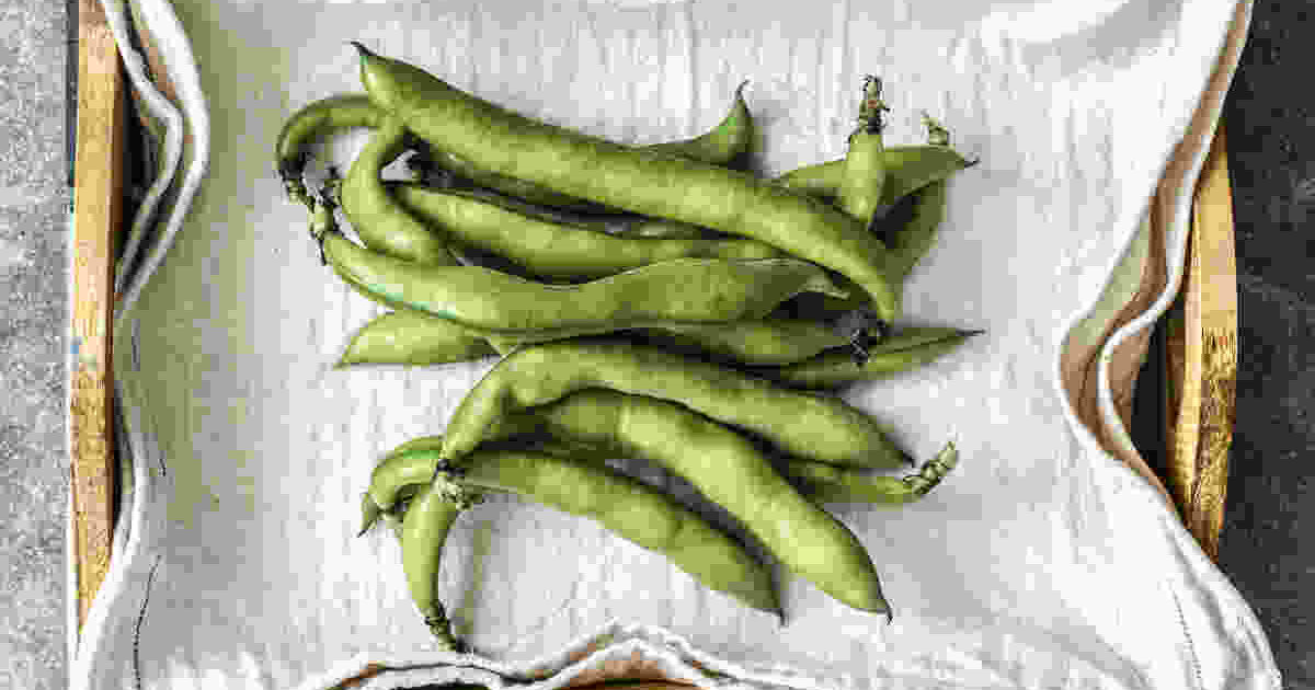 Broad beans Health Benefits, Nutrients and Uses THIP Media