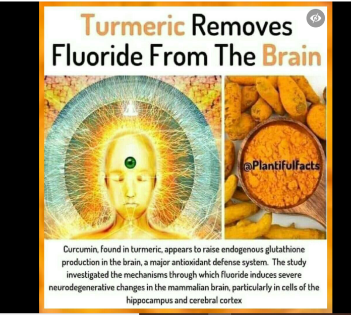 Fact Check Can turmeric remove fluoride from the brain? THIP Media
