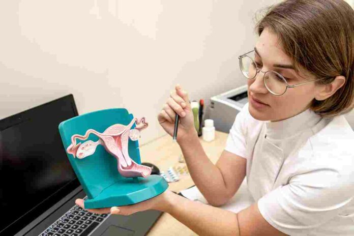 endometrial