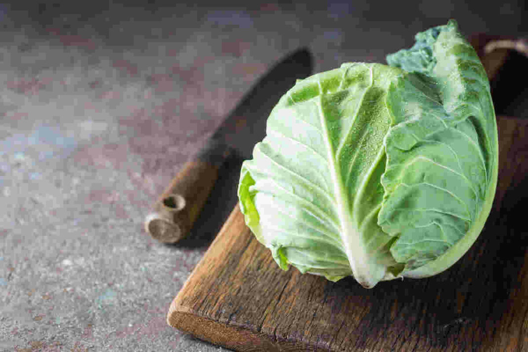 cabbage