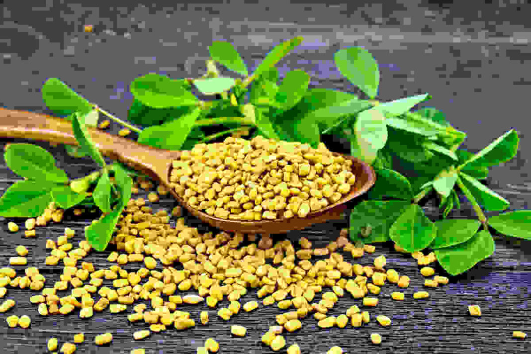 fenugreek leaves