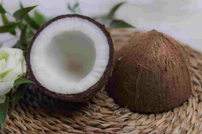 coconut benefits