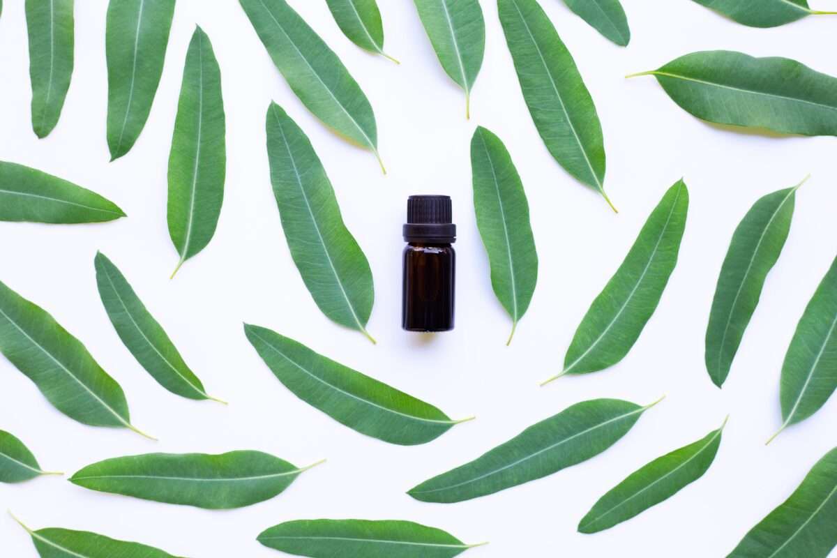 Does eucalyptus oil work as a cure for hallucinations and autism?