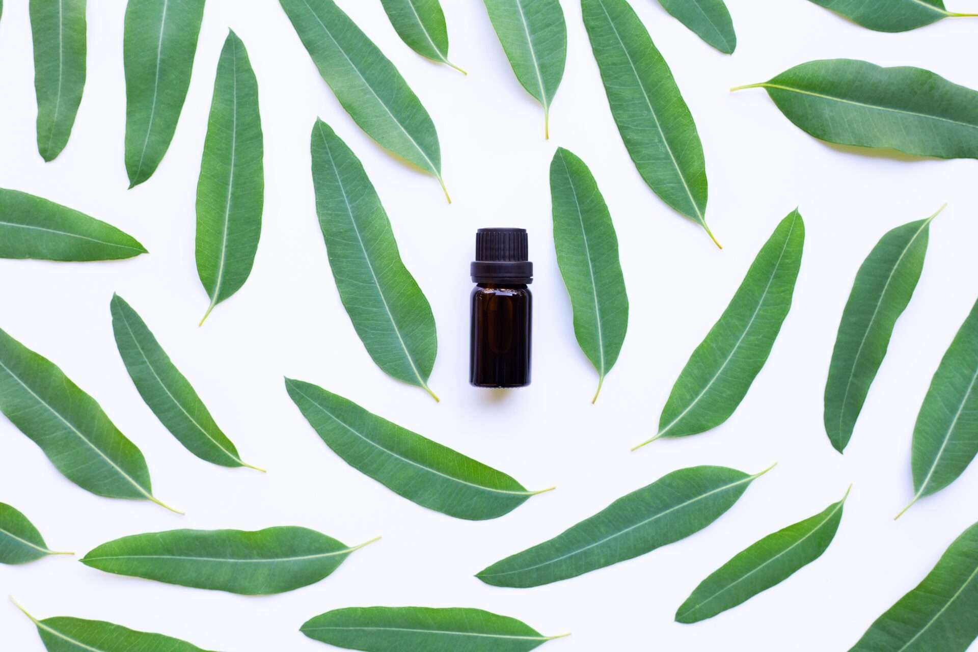 Does eucalyptus oil work as a cure for hallucinations and autism?