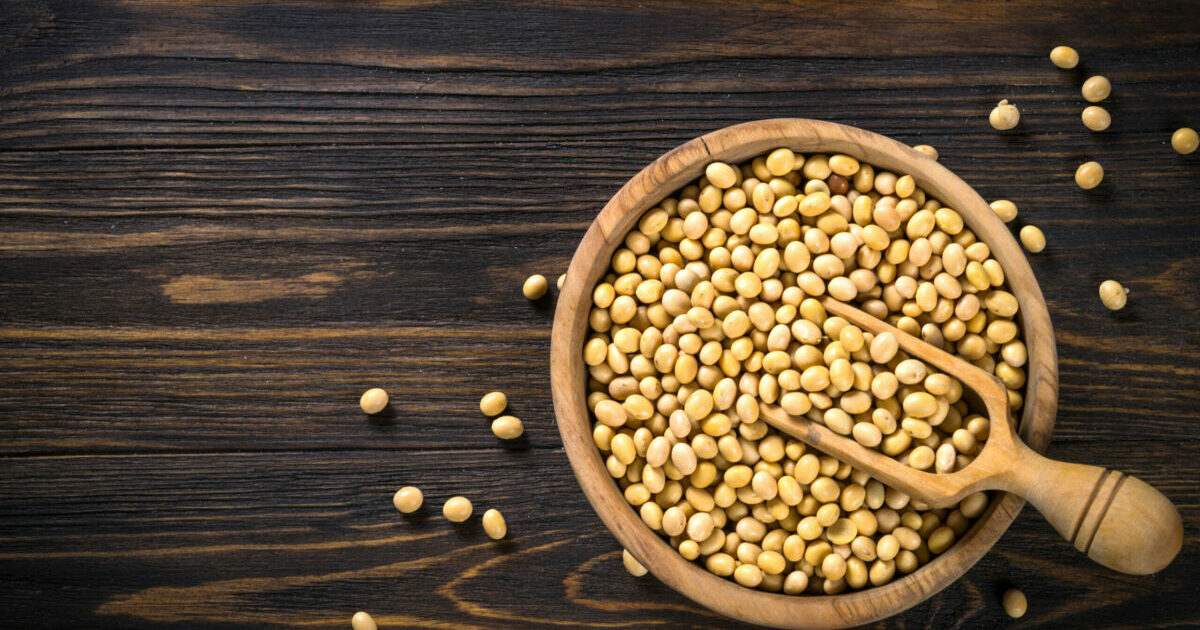 Fact Check Does soy cause Alzheimer's disease? THIP Media