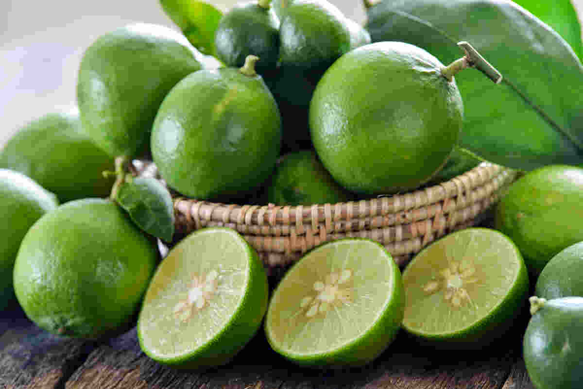 Lime Health benefits, nutrients & uses THIP Media