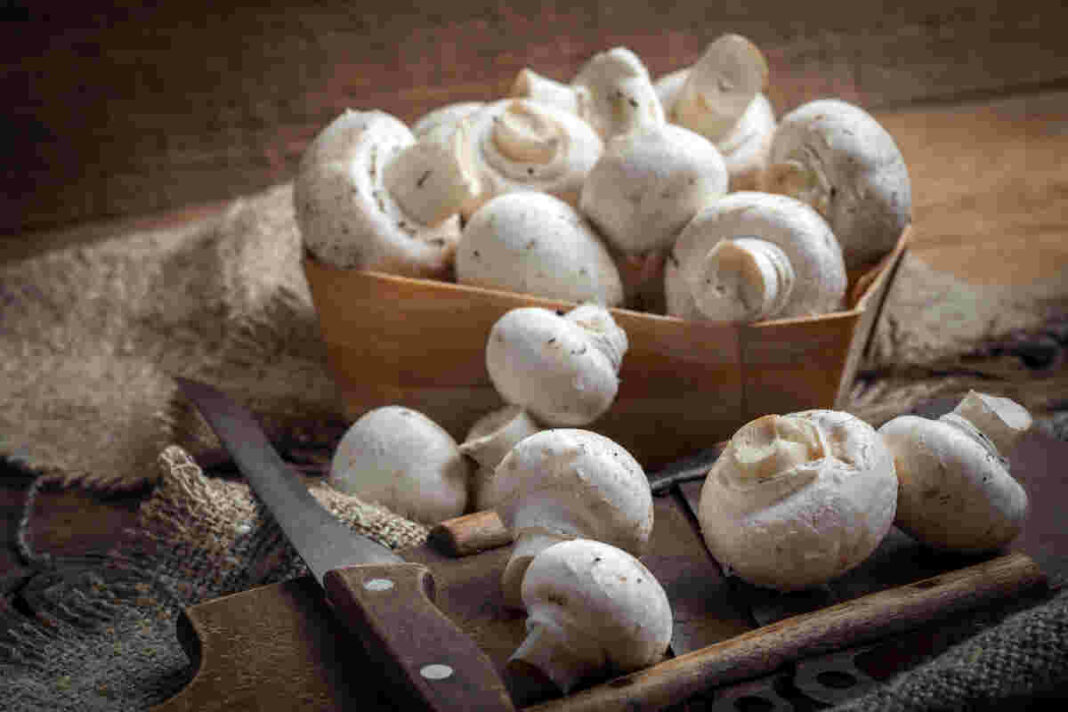 mushrooms