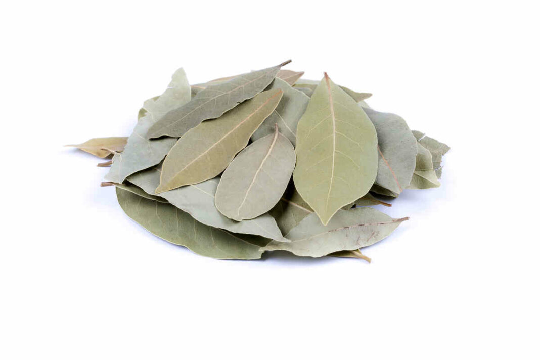bay leaves