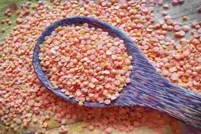 pink lentils health benefits