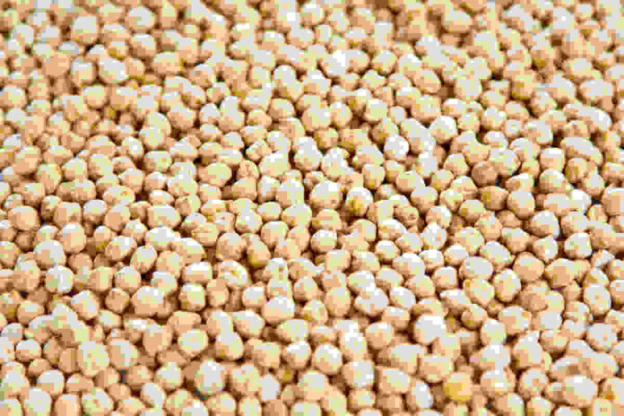 white chickpeas health benefits