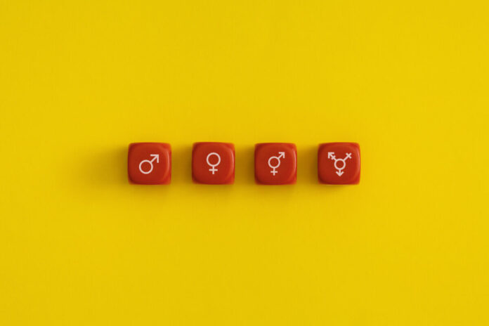 gender and sexual identity