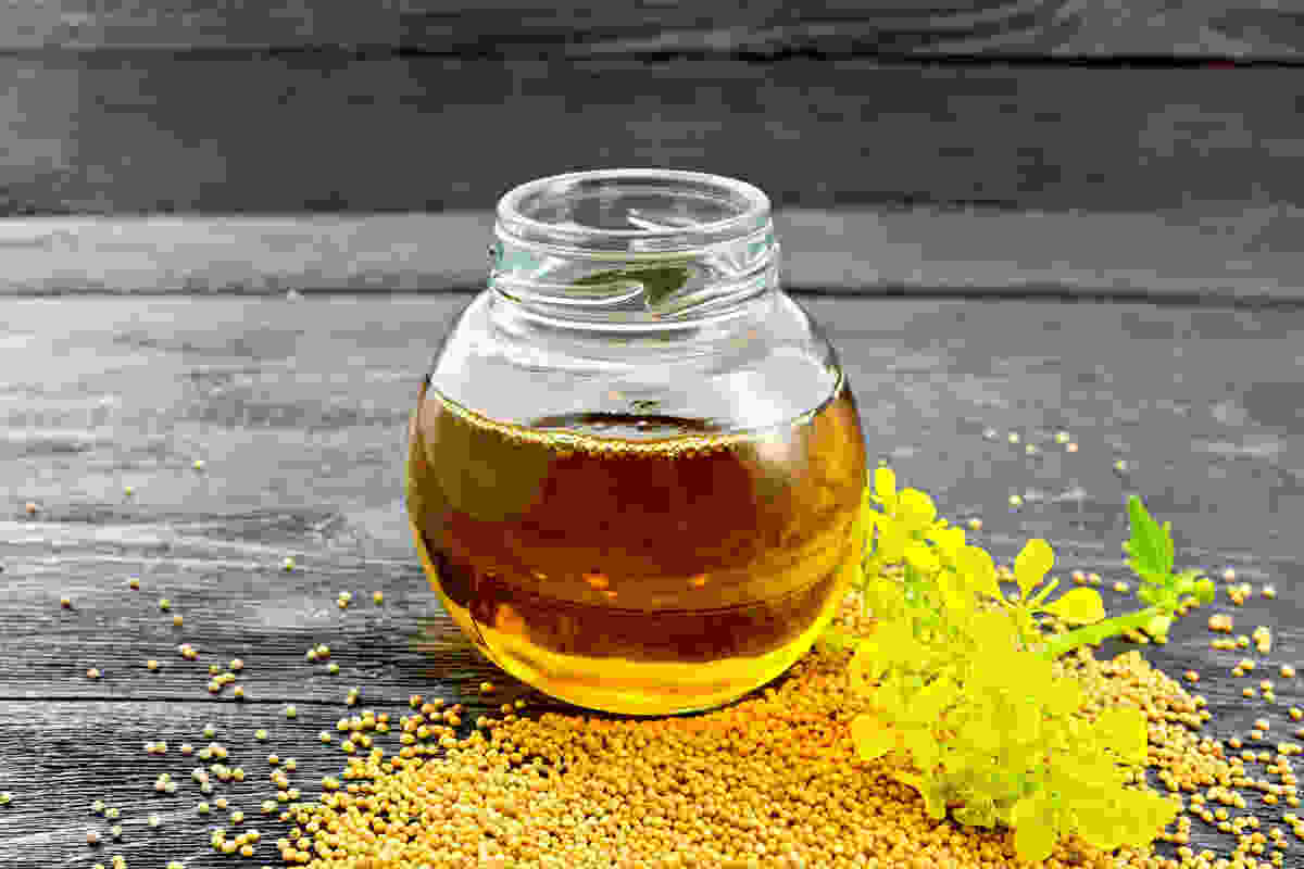 Is using mustard oil for cooking a healthy choice? THIP Media