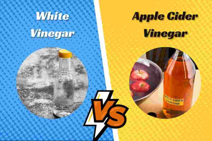 Apple cider vinegar vs white vinegar