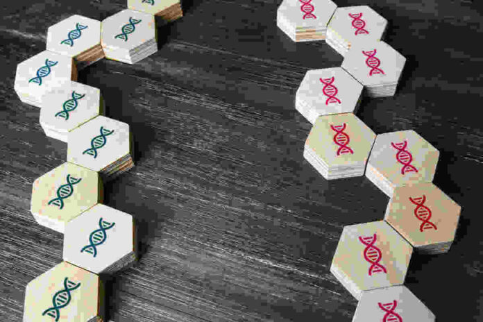 genetic lines