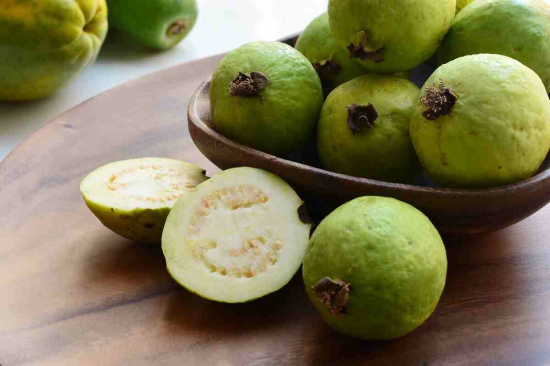 eating guava daily can clean the arteries