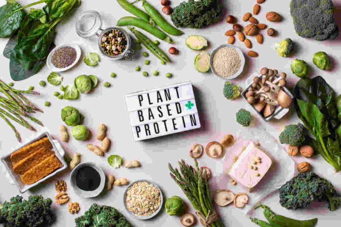 plant protein