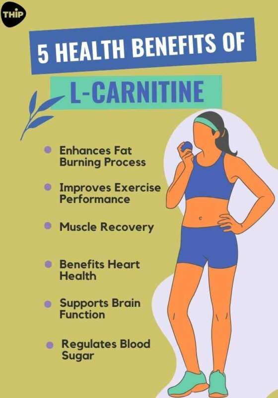 Should I Take L Carnitine Before Or After Workout What are the health benefits of L-carnitine?- THIP Media