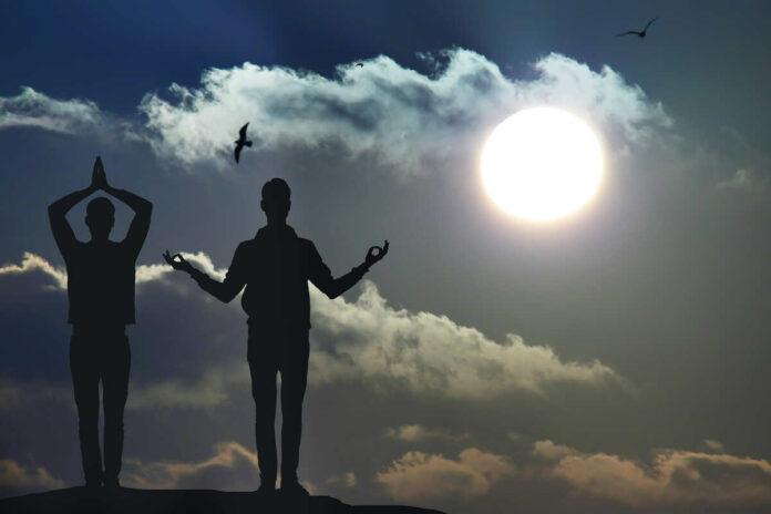 immune system in summers