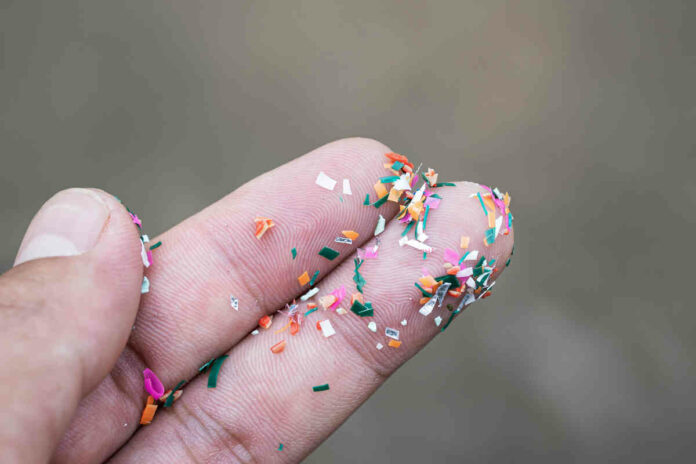health impact of microplastics
