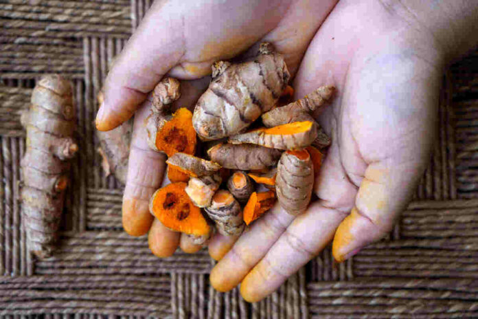 eating raw turmeric can prevent autoimmune diseases