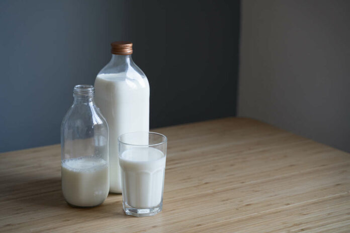 animal milk can weaken bones