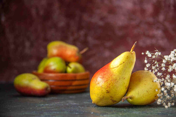 high fibre foods for piles