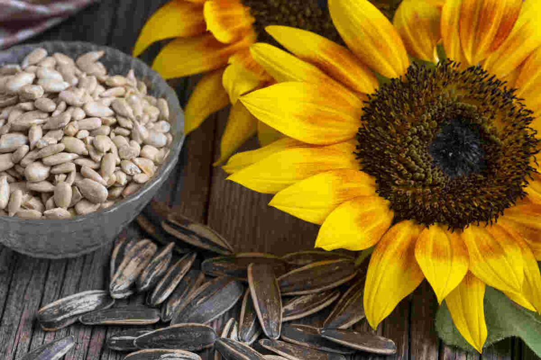 omega 9 benefits