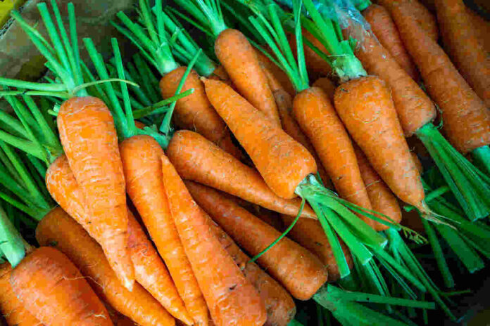 carrot benefits for eyes