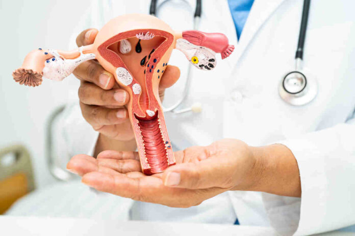 thyroid effect on conception