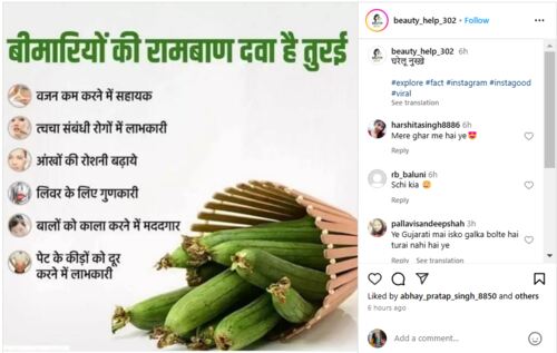 ridge gourd or tori is the ultimate cure for health issues