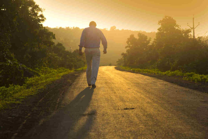 factors affecting longevity