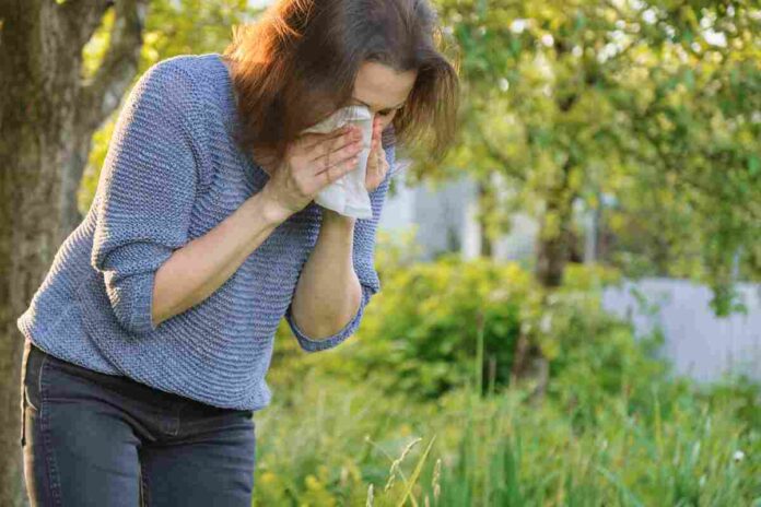hay fever and asthma