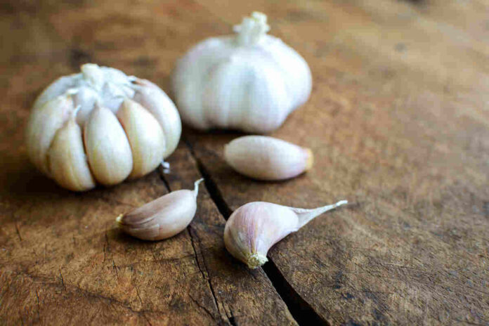 raw garlic