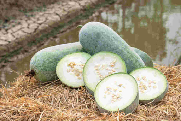 safed petha or ash gourd