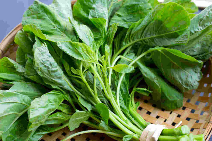 spinach good for thalassemia