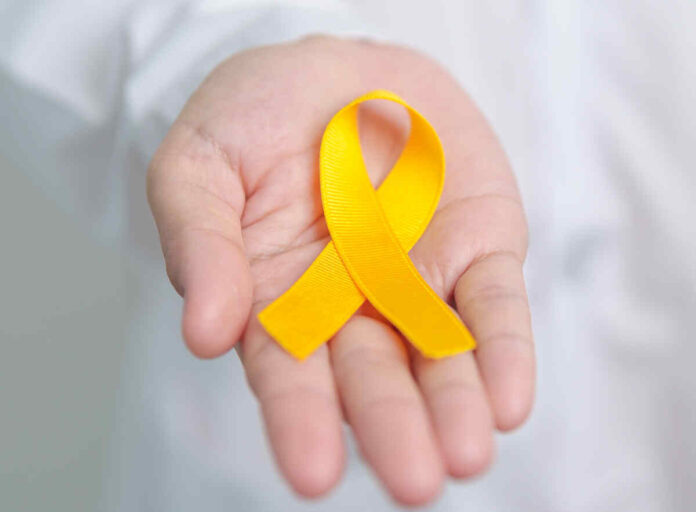Bladder cancer ribbon